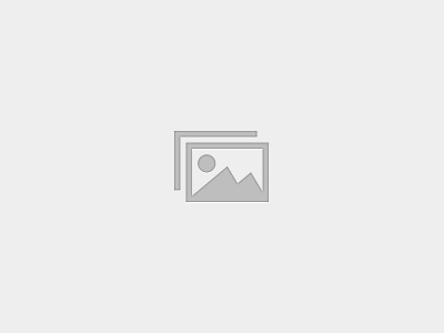 Transition Metal Chemistry