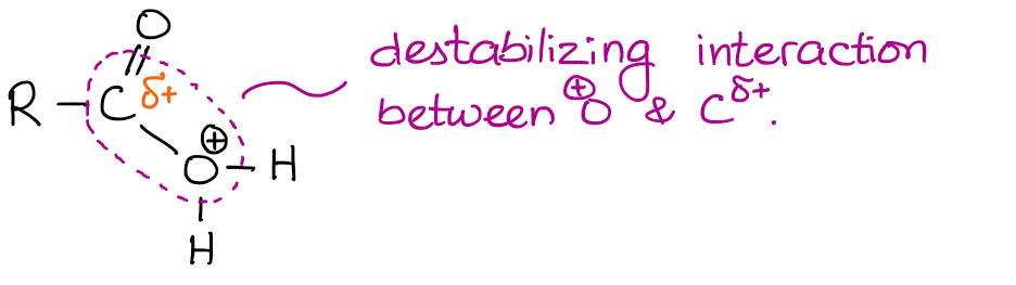 destabilizing interaction between the protonated oxygen and partially positive carbon of the C=O group