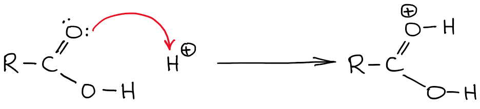 correct way to show the protonated carboxylic acid step in a mechanism