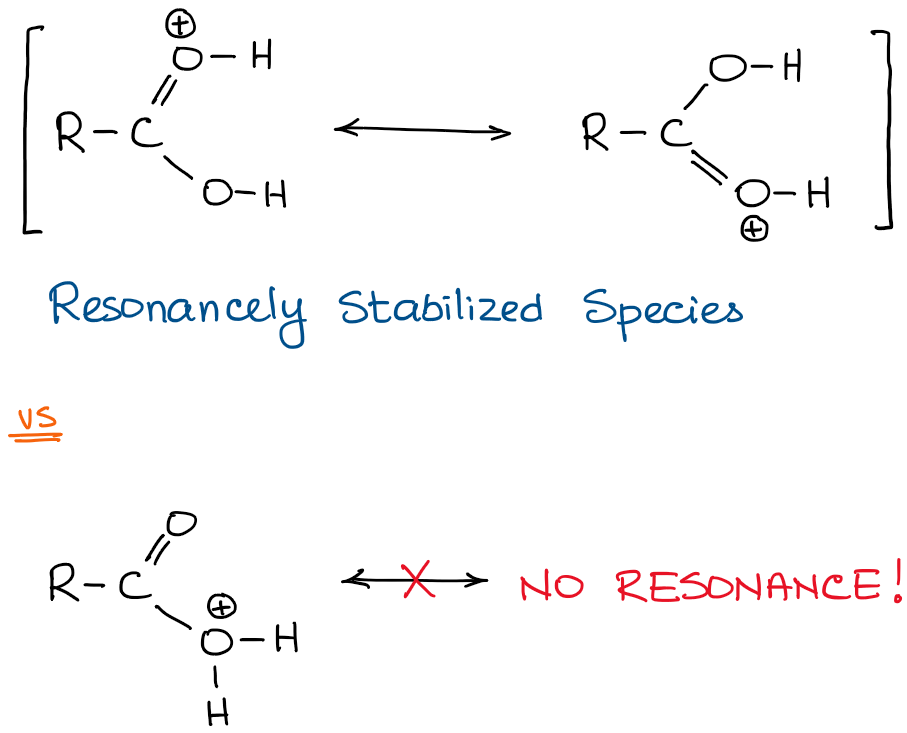 protonated versions of a carboxylic acid