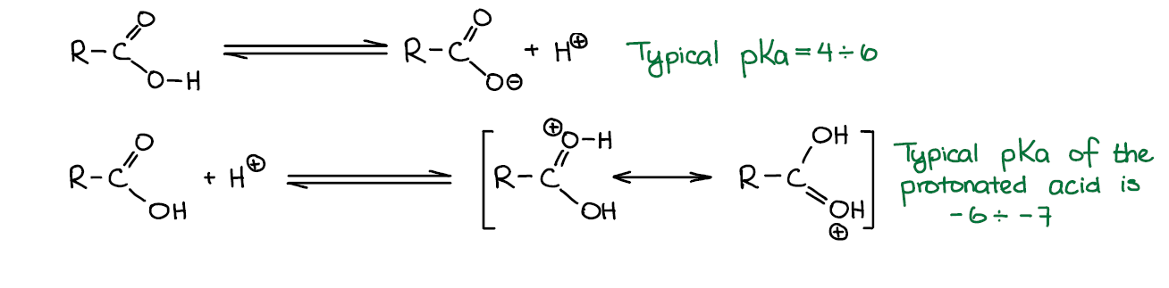 Acid-base properties of carboxylic acids. Carboxylic acids can dissociate in solution and can be also protonated by strong acids.