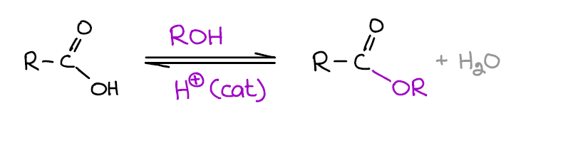 Fischer esterification