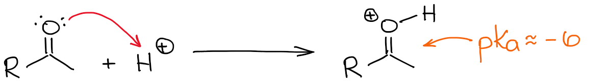 protonation of a carbonyl
