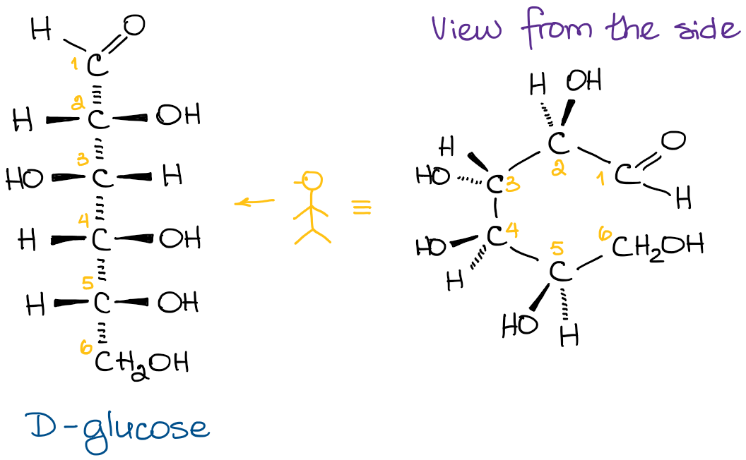 Fischer projections of glucose, view from the side