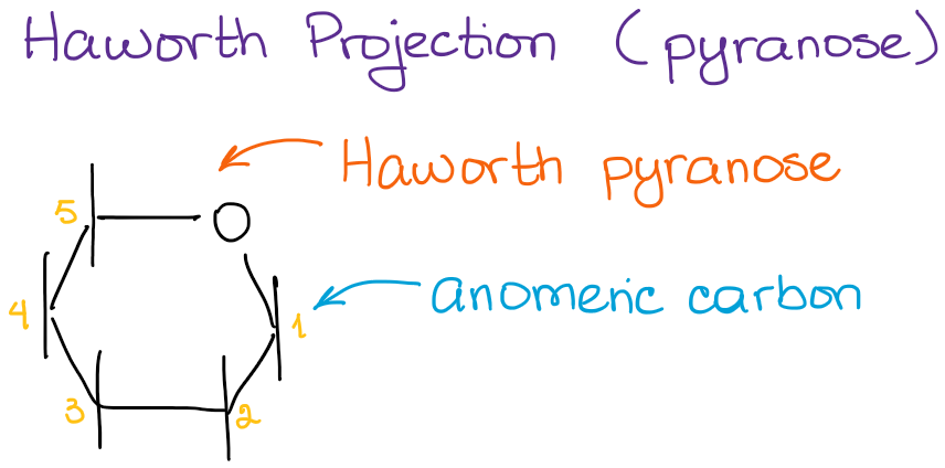 Haworth projection of a pyranose