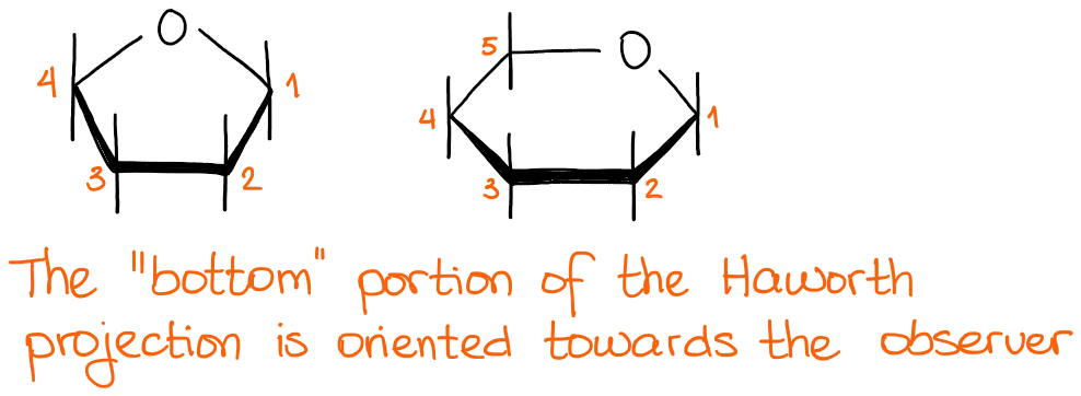 Stereochemistry of a Haworth projection