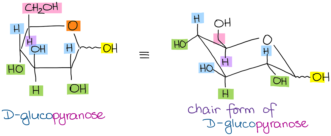 Chair conformation of glucopyranose