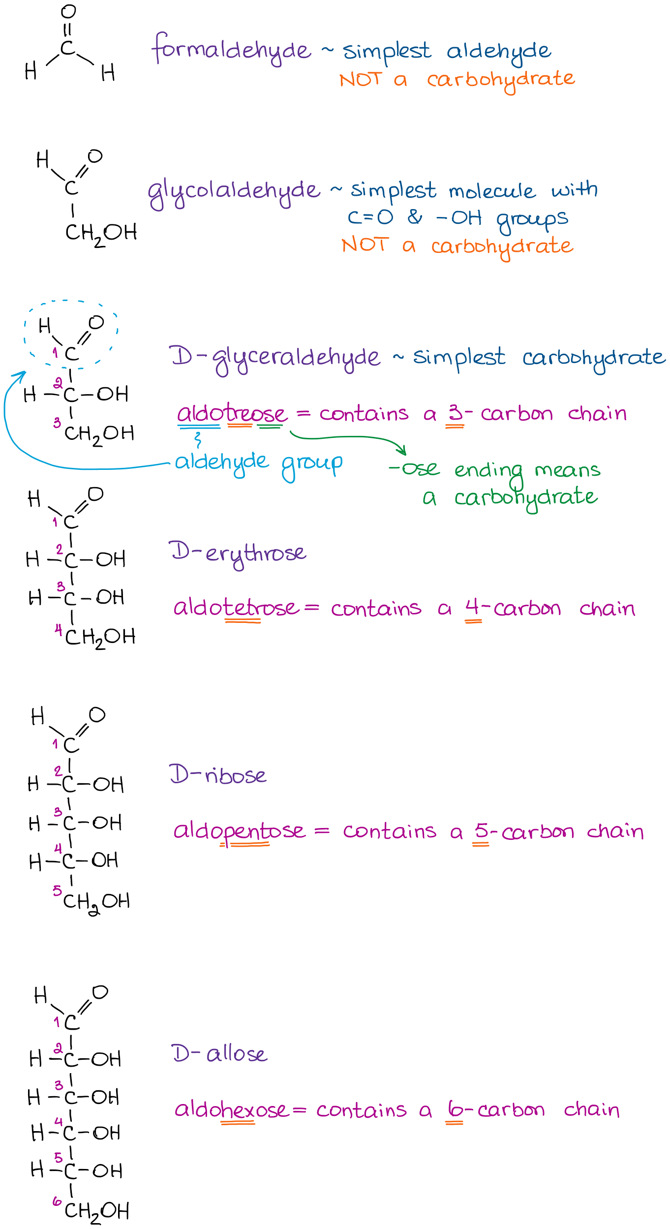 examples of aldoses