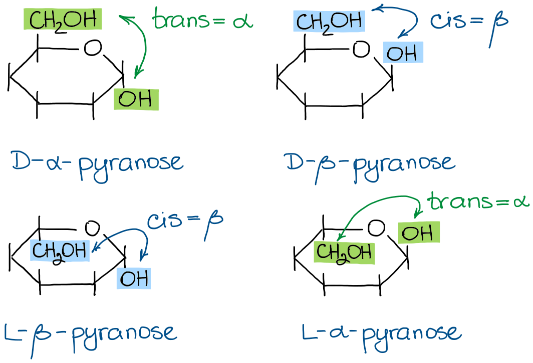 the α- and the β-forms of pyranoses