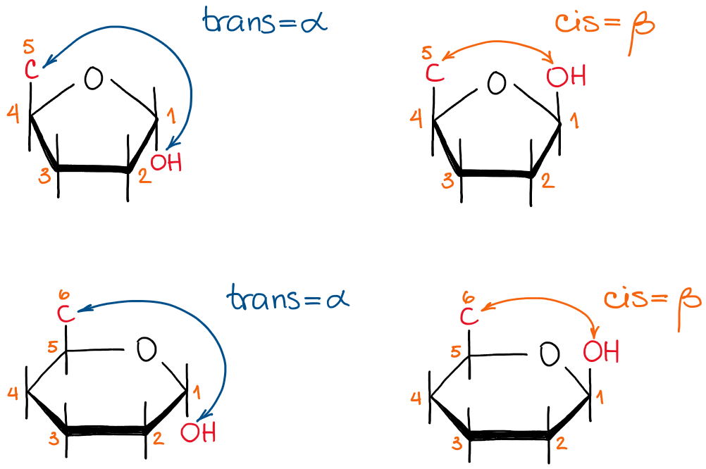 alpha and beta forms of cyclic carbohydrates