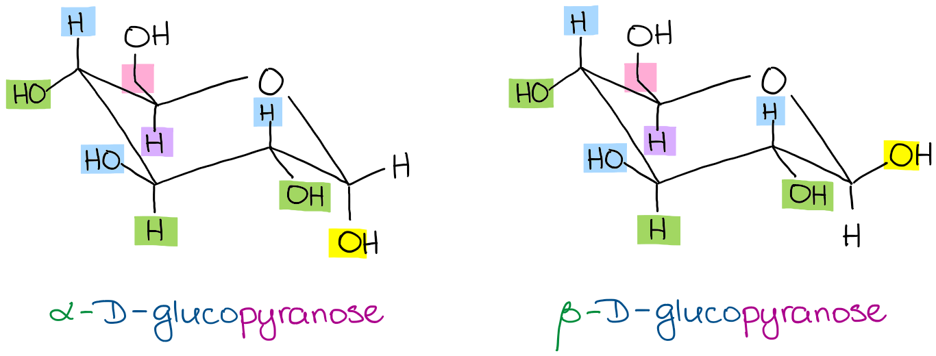 New Chair conformation galactose for 