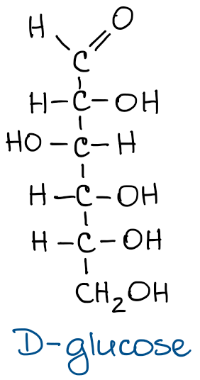 glucose in the fischer projection