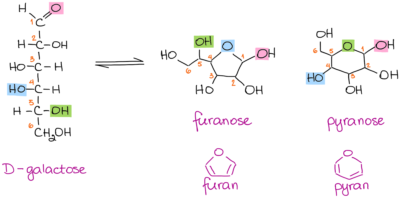 intramolecular cyclization of carbohydrates