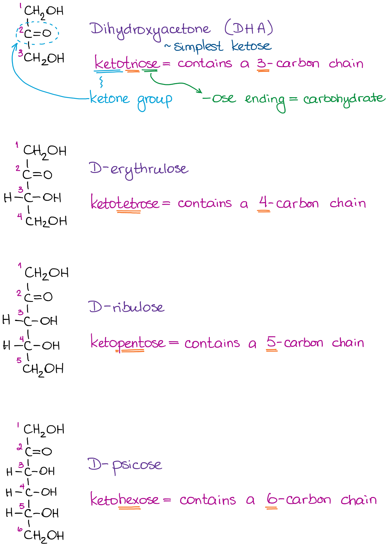 Examples of ketoses