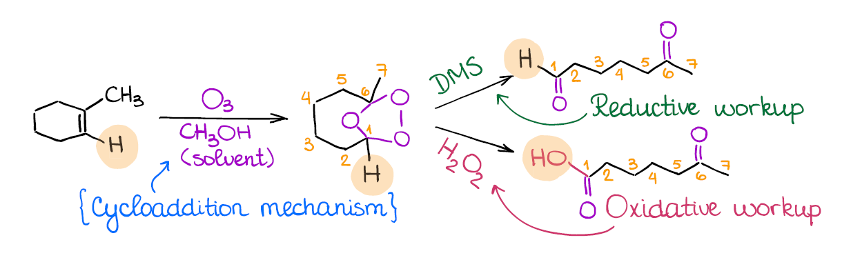 ozonolysis of alkenes