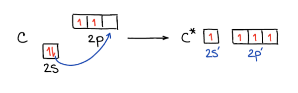 Hybridization — Organic Chemistry Tutor