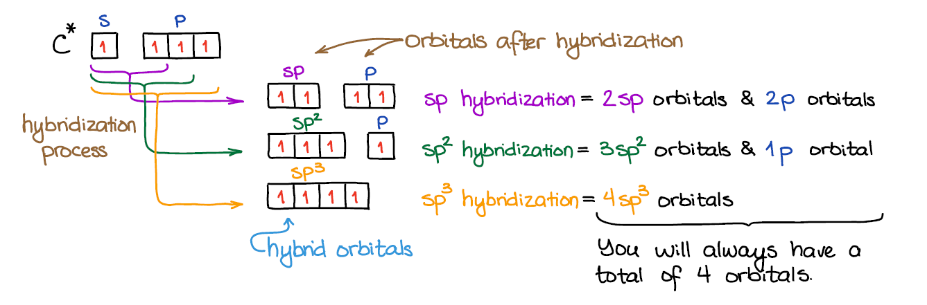 formation of hybridized orbitals on carbon