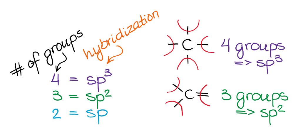 gives you the sp 3 hybridization, the three groups gives you sp 2 hybridiza...