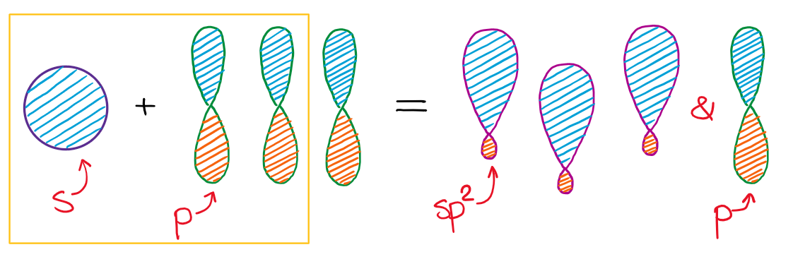 formation of the sp2-hybridized orbitals