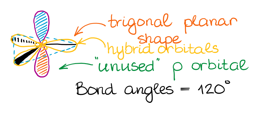 sp2-hybridization geometry