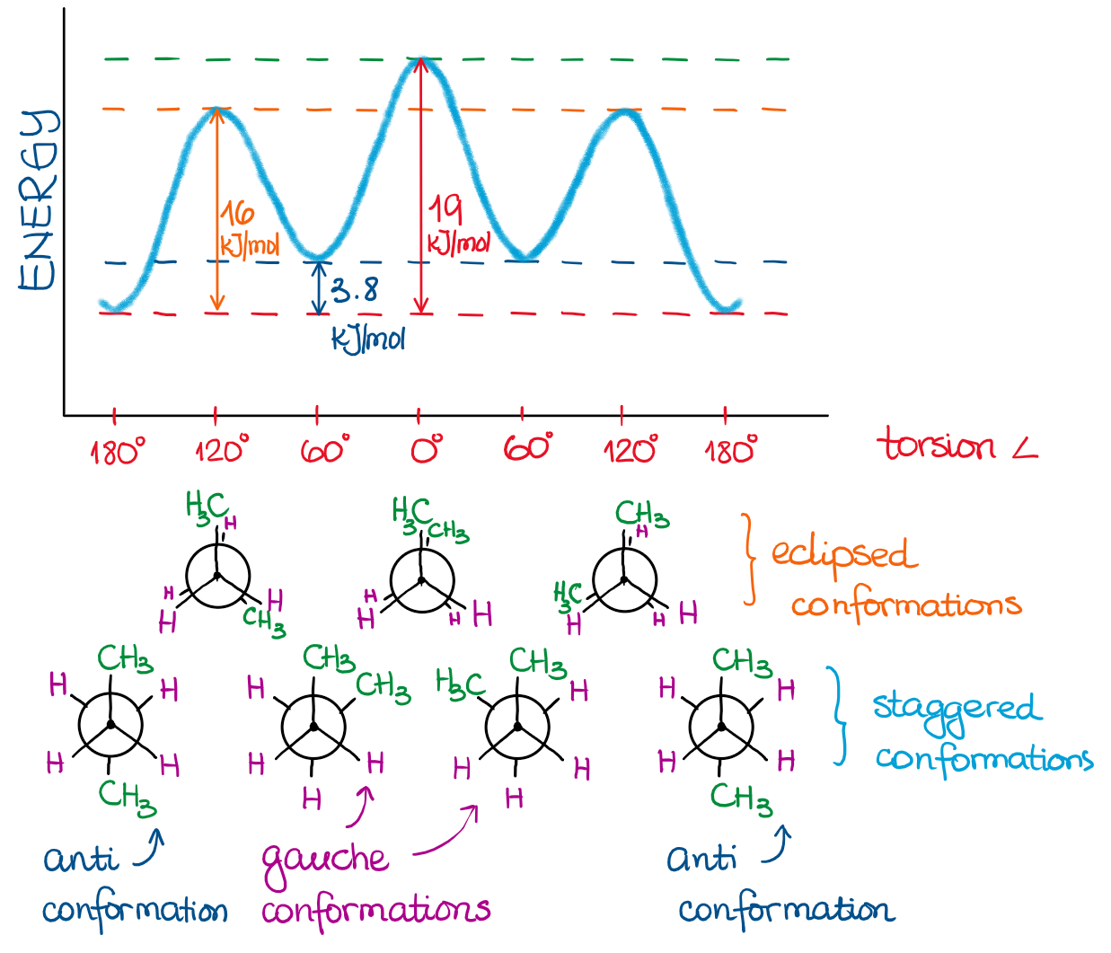 energy profile of butane conformations