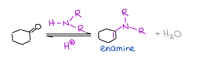formation of enamines via reaction of aldehydes and ketones with secondary amines