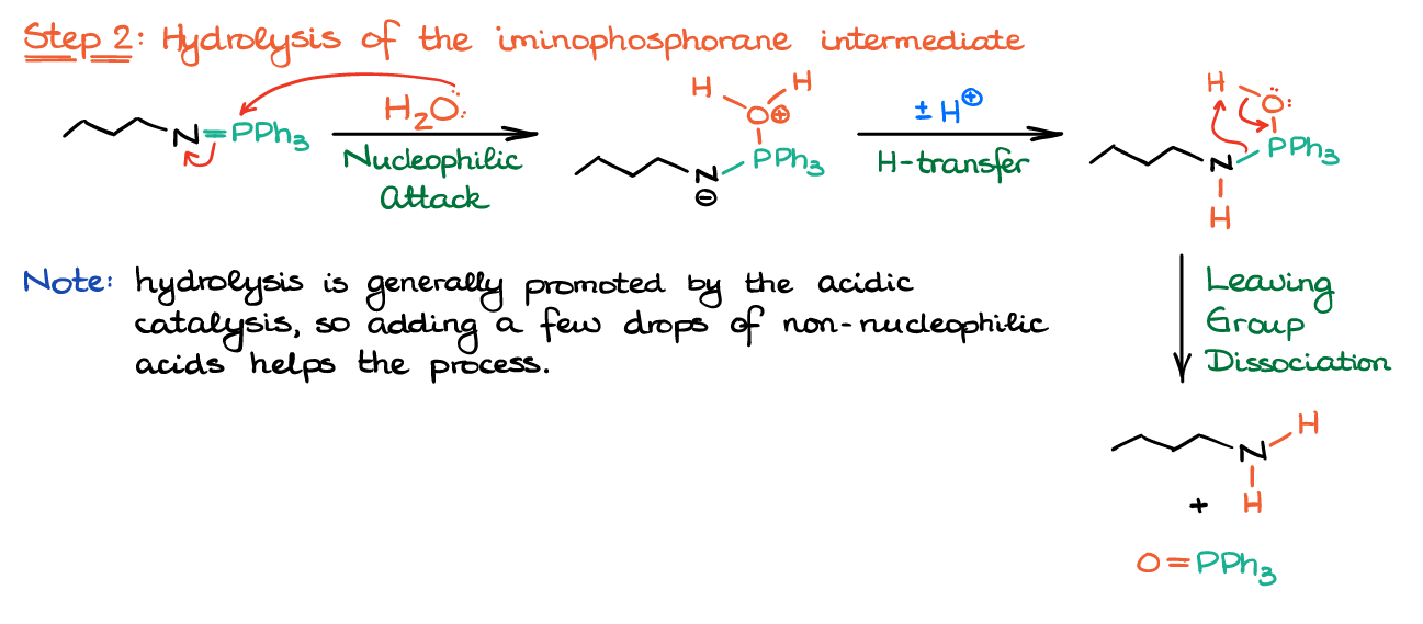 hydrolysis of an intermediate to give the primary amine