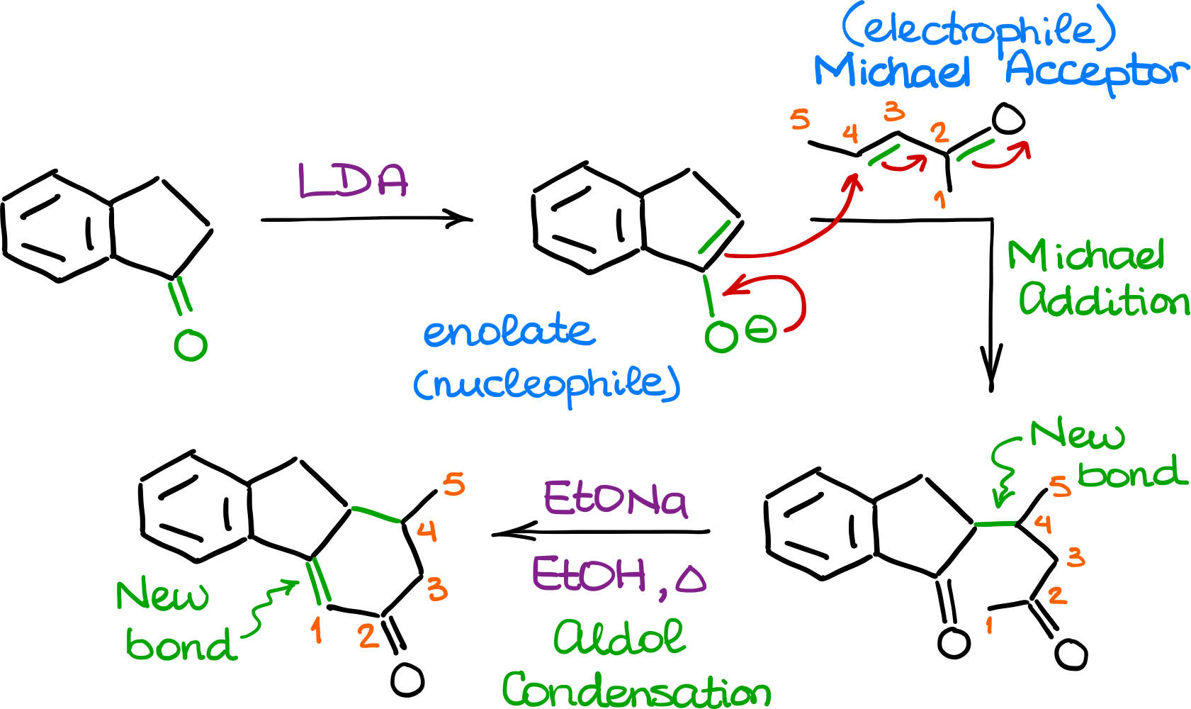 complete robinson annulation scheme