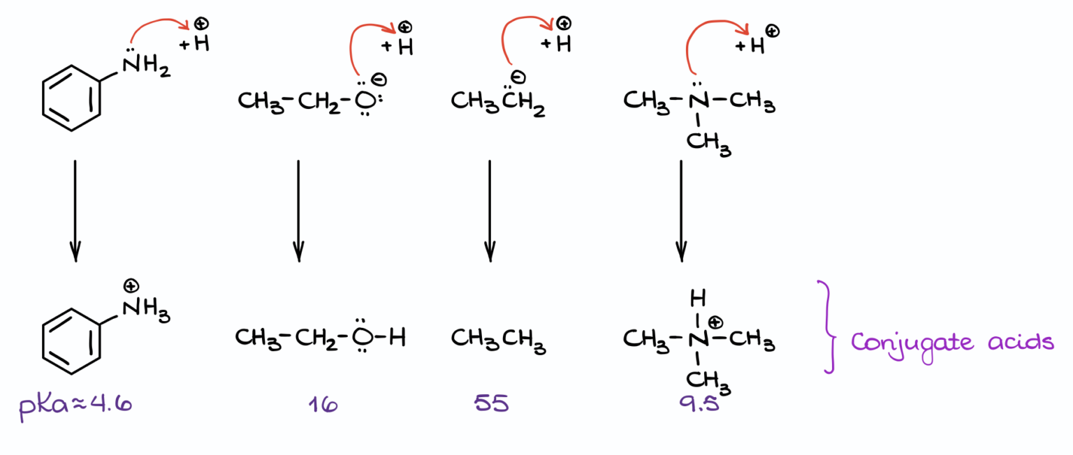 Typical Acid-Base Exam and Homework Questions — Organic Chemistry Tutor