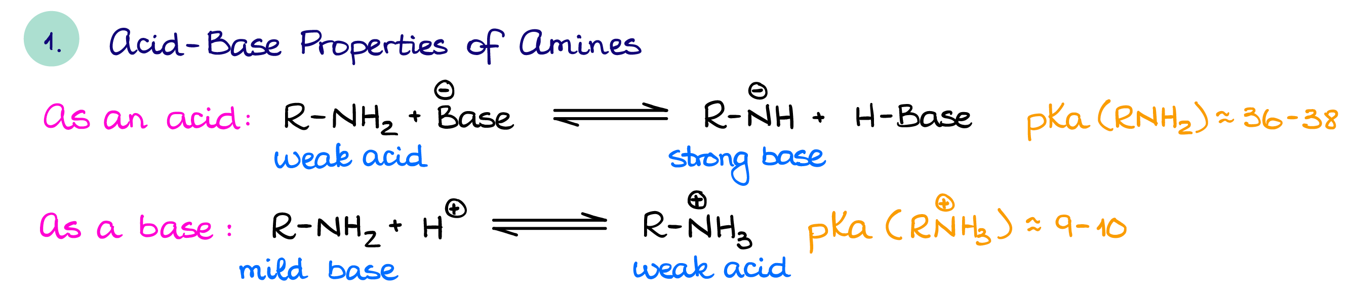 acid-base properties of amines