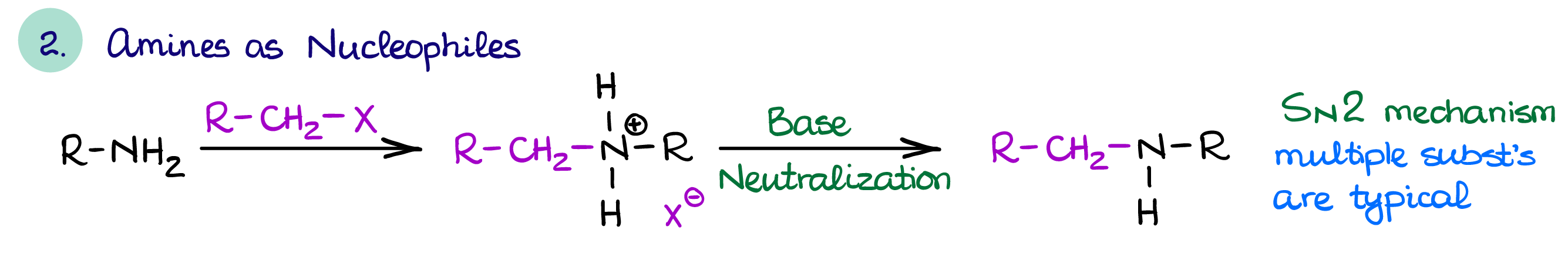 nucleophilic properties of amines