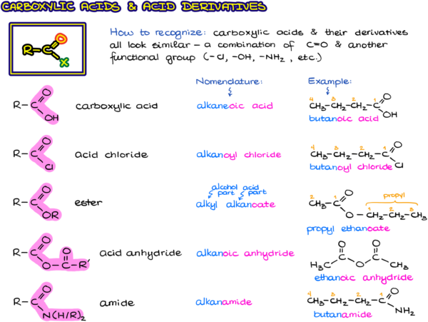 Functional Groups in Organic Chemistry — Organic Chemistry Tutor