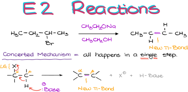 E2 Reactions — Organic Chemistry Tutor