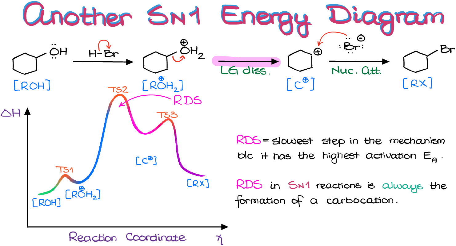 another example of sn1 reaction energy diagram with a rate-determining step at a different place in the mechanism