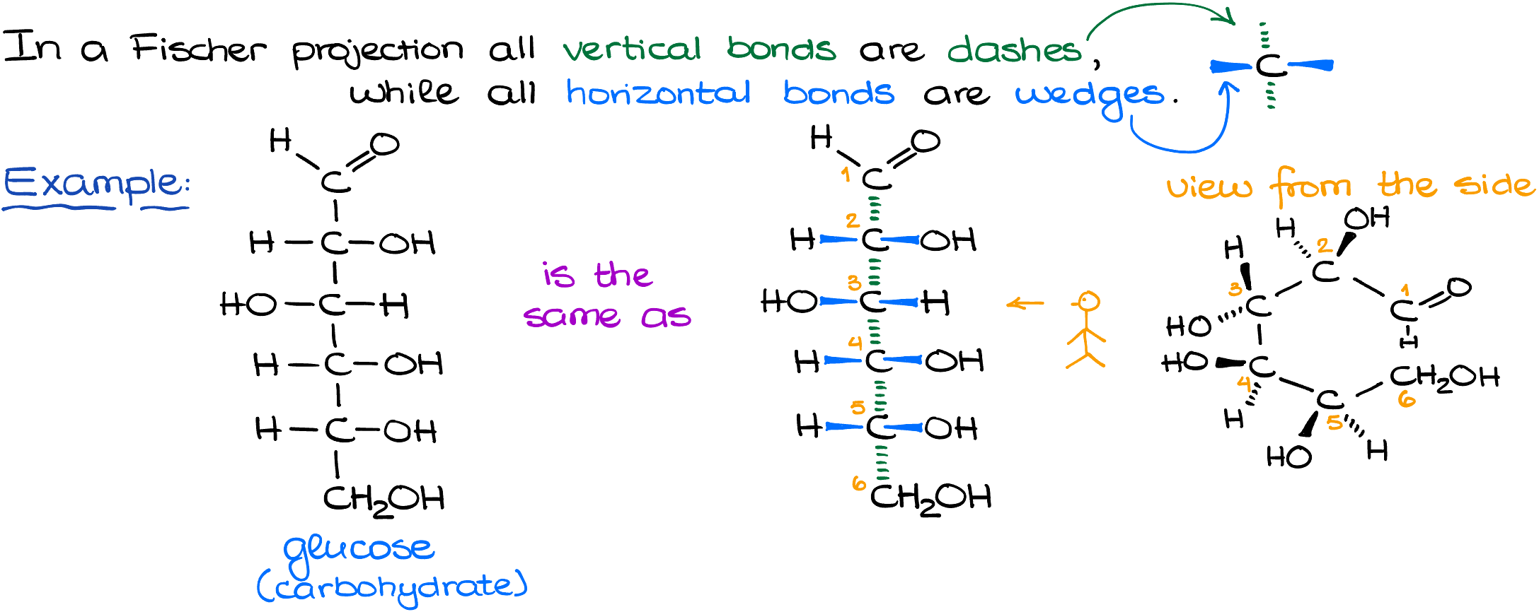 Converting Bond-Line, Newman, and Fischer Projection