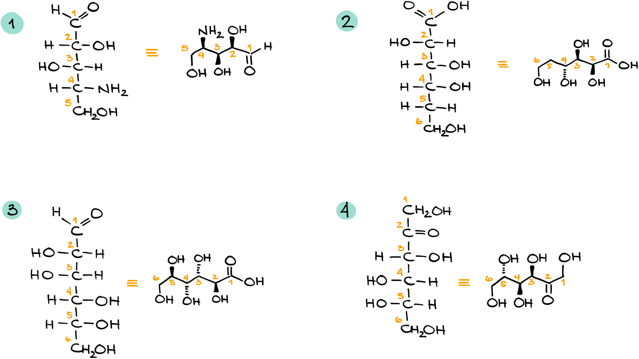 Fischer Projections — Organic Chemistry Tutor