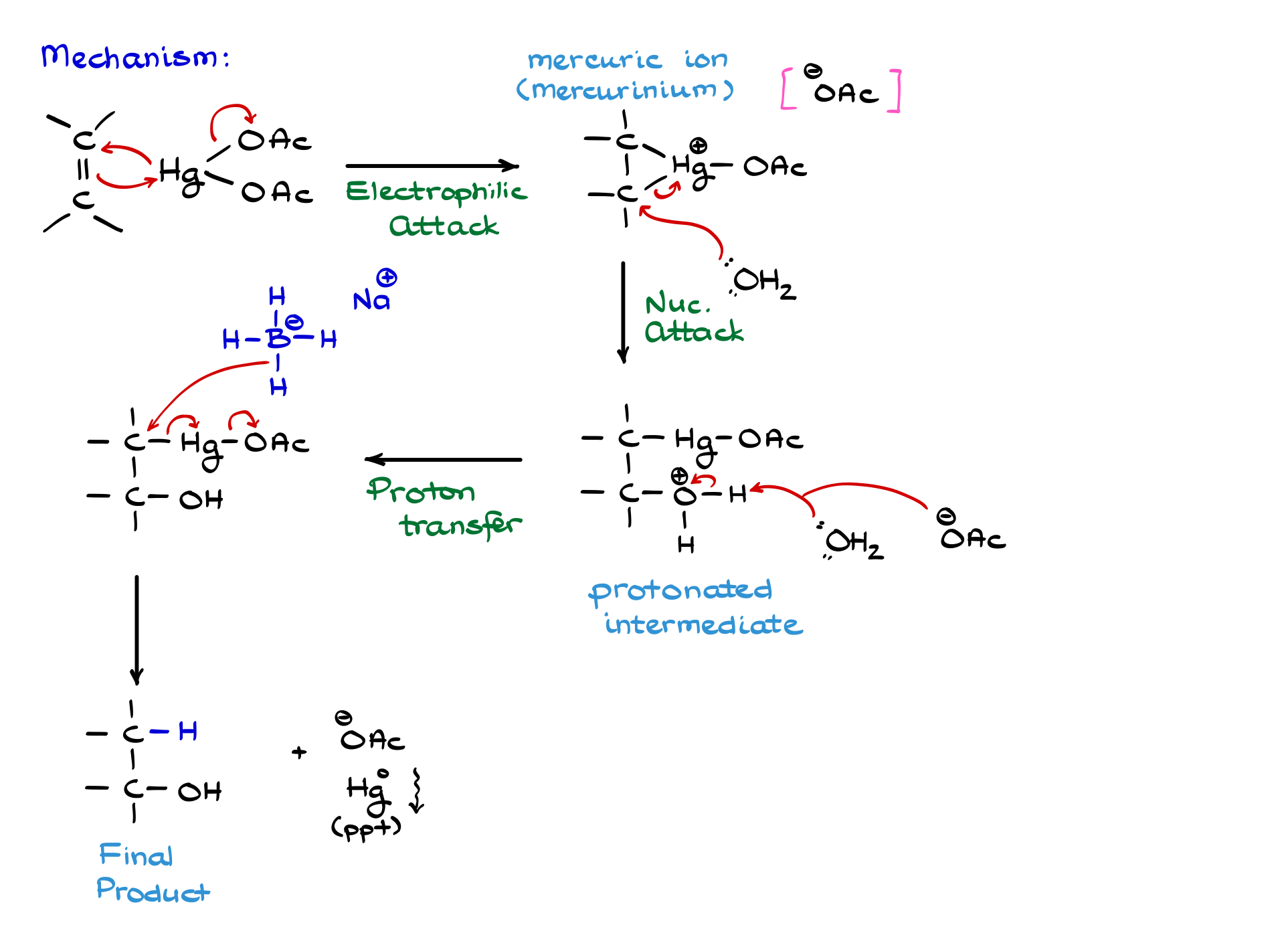 oxymercuration of alkenes mechanism