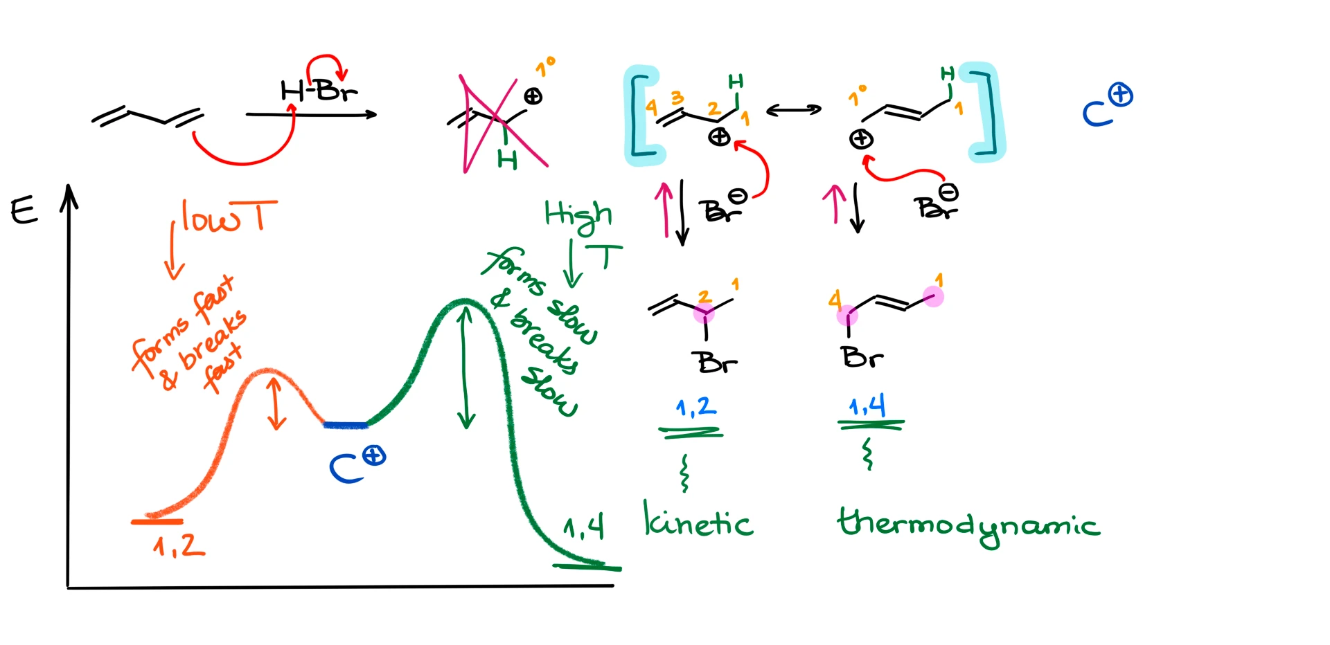 kinetic vs thermodynamic product