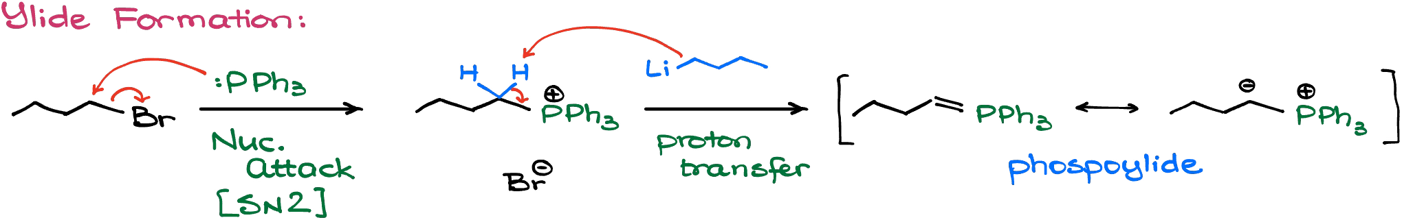 formation of the wittig ylide