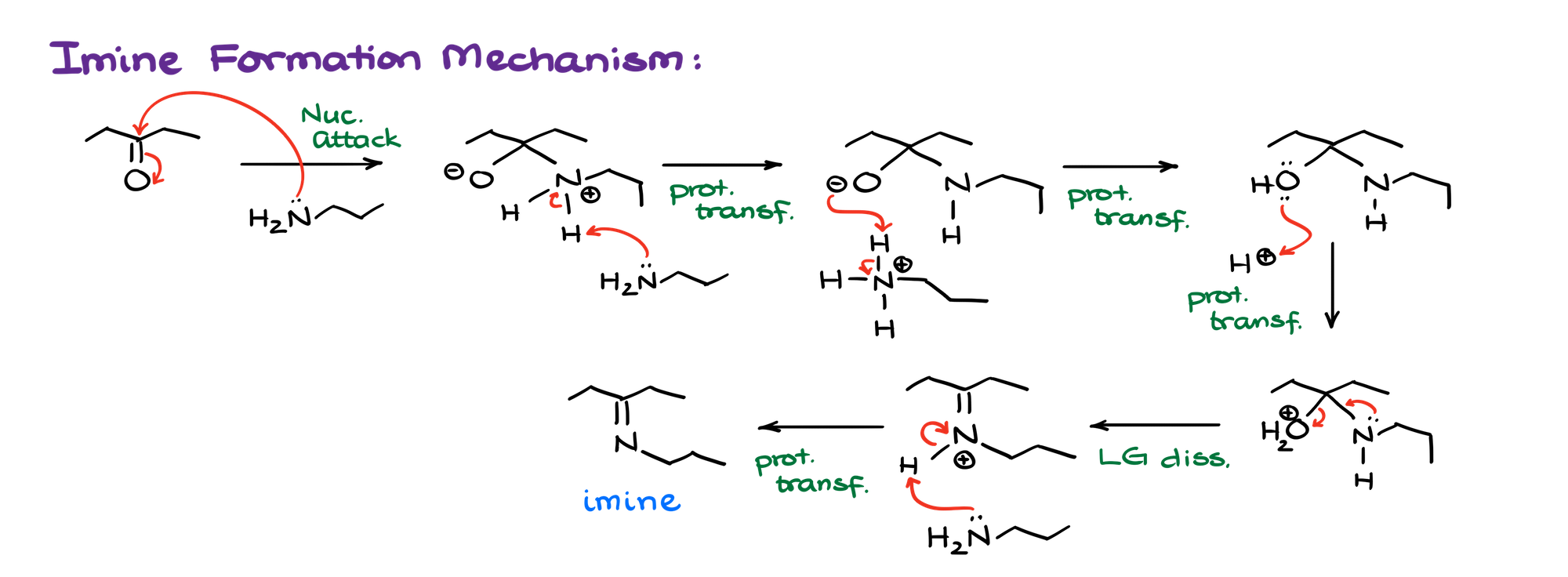 imine formation mechanism