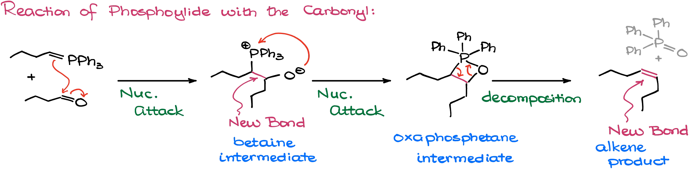 the wittig reaction