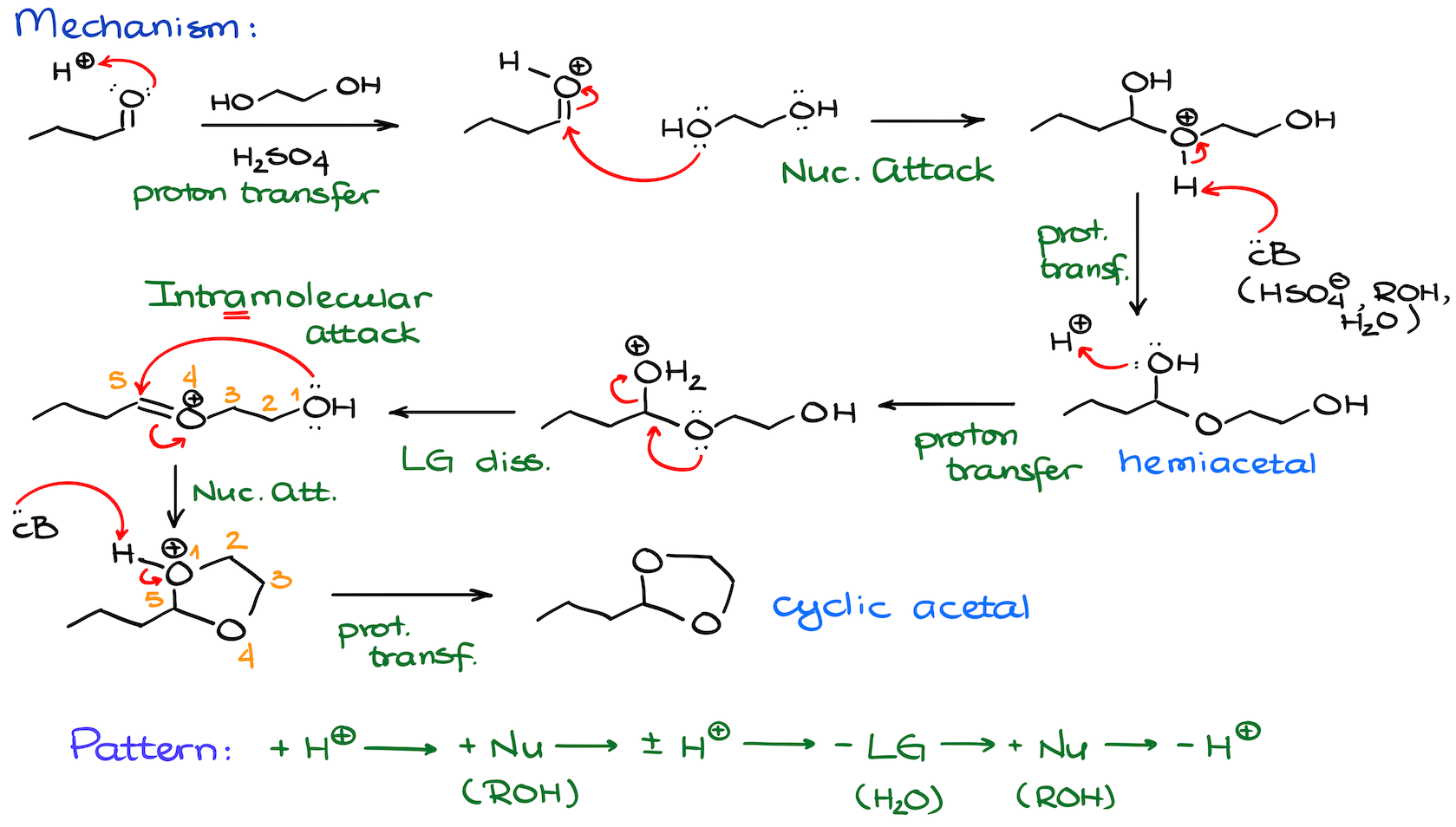 mechanism of cyclic acetal formation