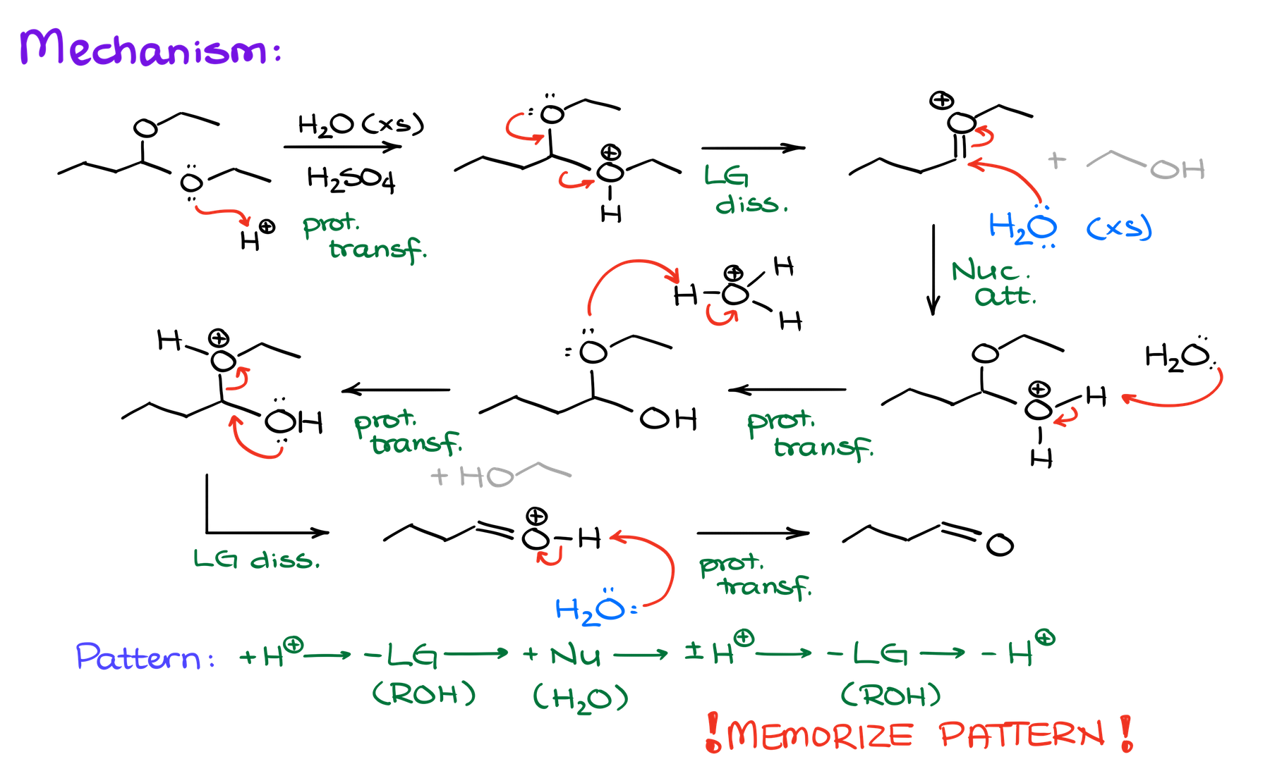 acetal hydrolysis mechanism
