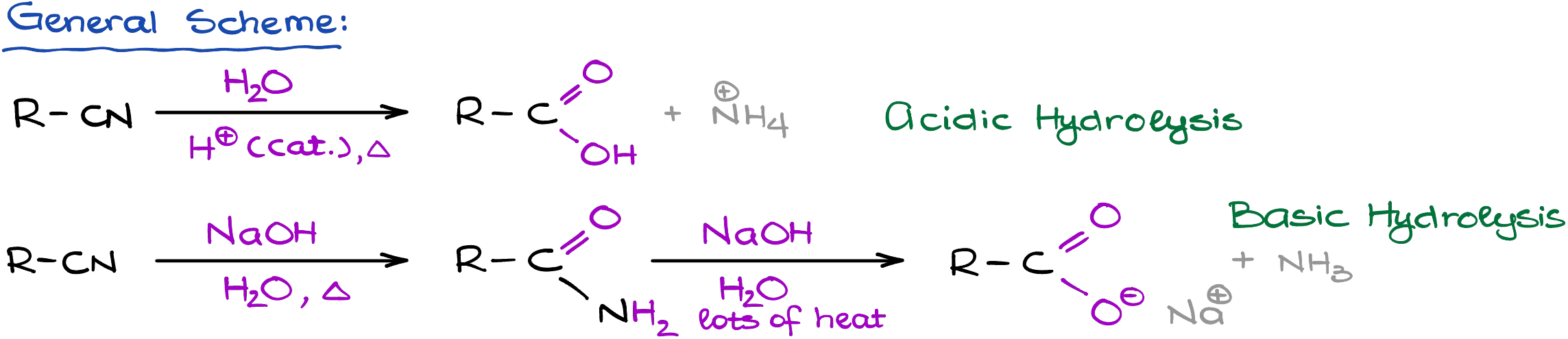 general scheme of the nitrile hydrolysis