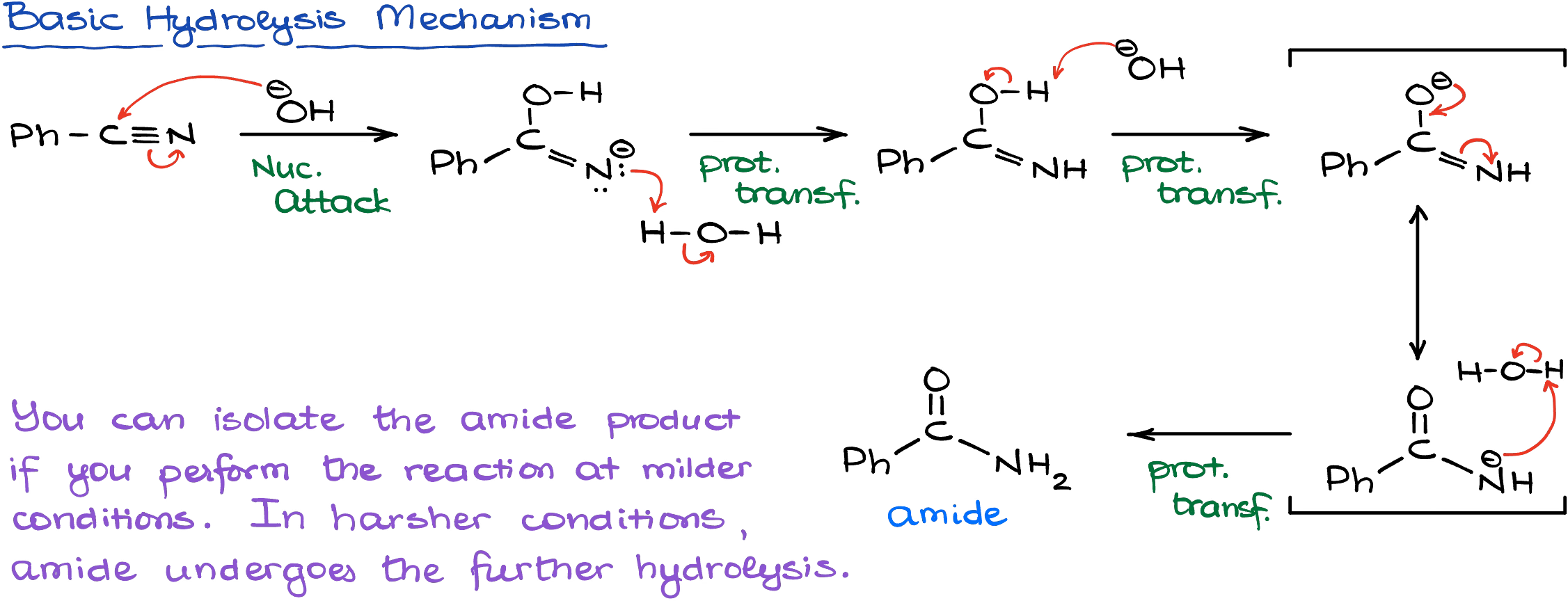 basic hydrolysis of amides