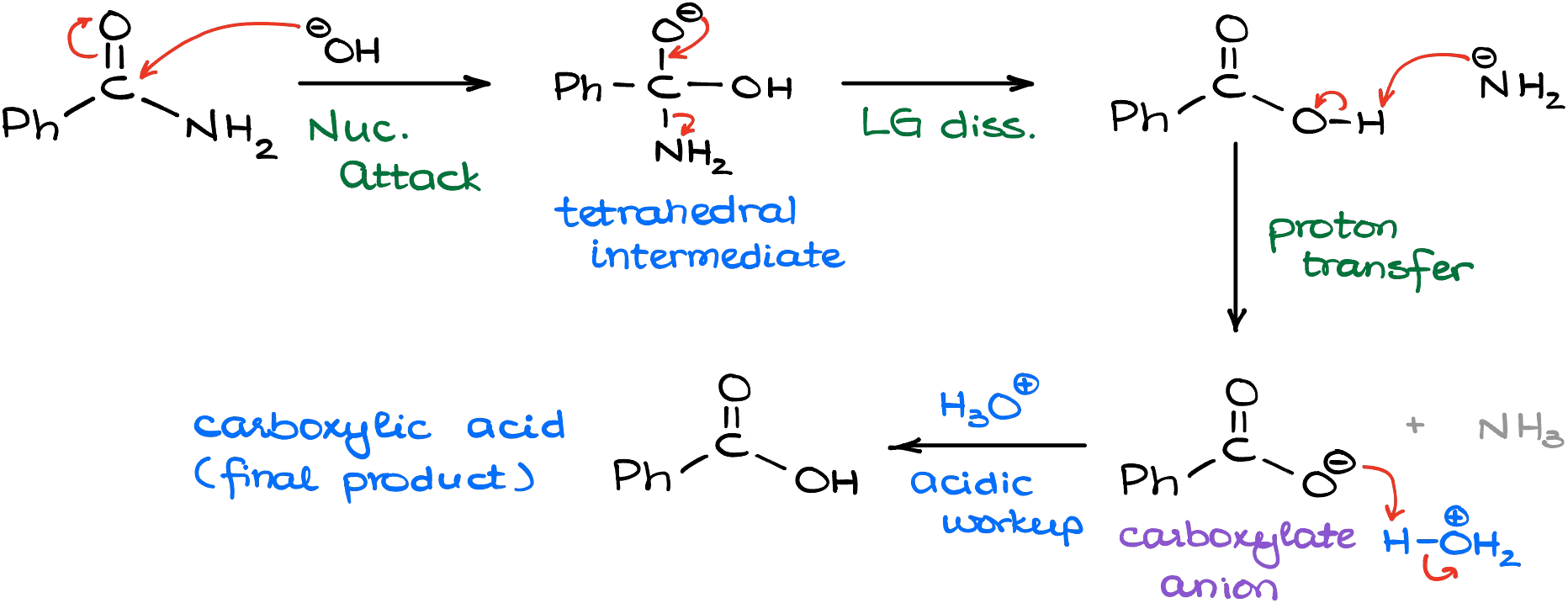 second part of the basic hydrolysis of nitriles