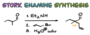 Stork Enamine Synthesis — Organic Chemistry Tutor