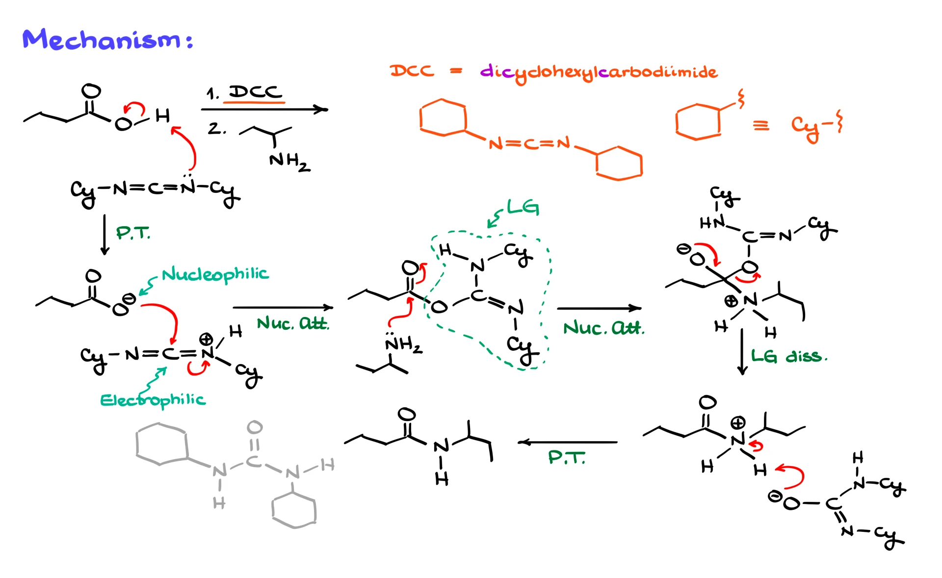 carbodiimide coupling
