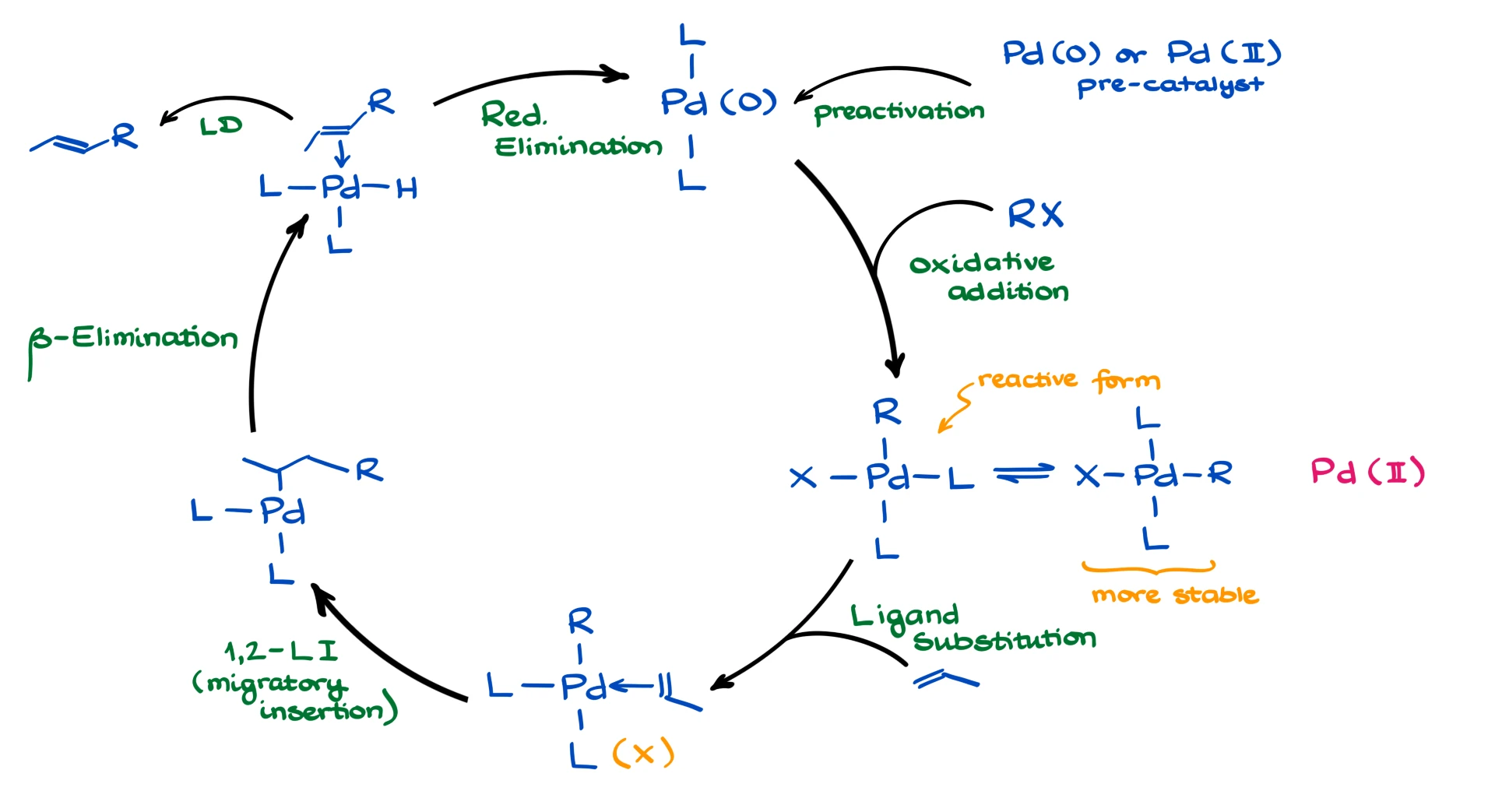 general scheme of the heck reaction